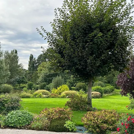 Au Bord De L'iton *