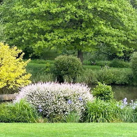 Au Bord De L'iton * Crulai