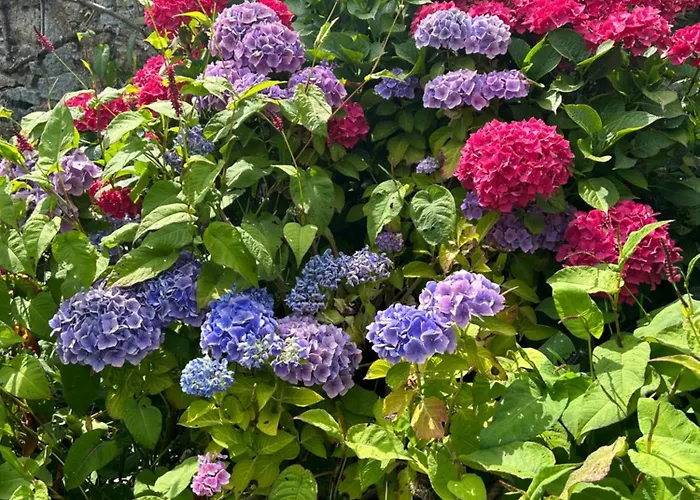 Au Bord De L'iton * Crulai